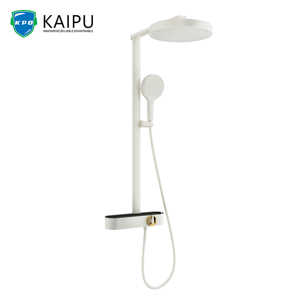 exposed shower system with hand shower and shower head (27)