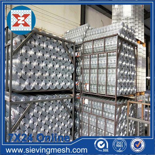 Hot-dipped Galvanized Welded Wire Mesh wholesale