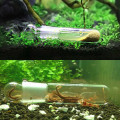 Aquarium Pest Trap Shrimp Leeches Worm Leech Planaria Catch Catcher Fish Tank