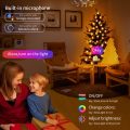 5/10m LED Outdoor WIFI Bluetooth Remote Control Light String Fairy Garland Battery Power Wire Lights For Party Christmas Wedding