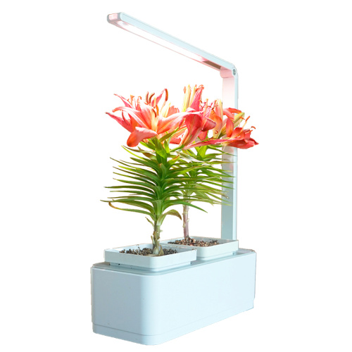 Smart Led Light Hydroponic Systems indoor Flower Pot Manufacturers and Smart Led Light Hydroponic Systems indoor Flower Pot Suppliers