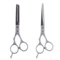 2 X Professional Barber Hair Cutting Thinning Scissors Shears Hairdressing 1 Set