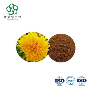 free sample Chrysanthemun Flower Extract