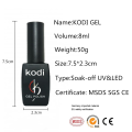 KODI 8ml Professional Platinum Glitter Led Soak Off Nail Gel Lacquer Shiny Sequins Decorations UV Gel Varnish Painting Flowers