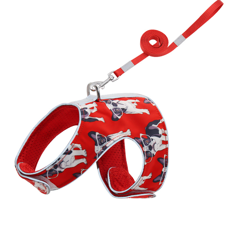 Pet Harness