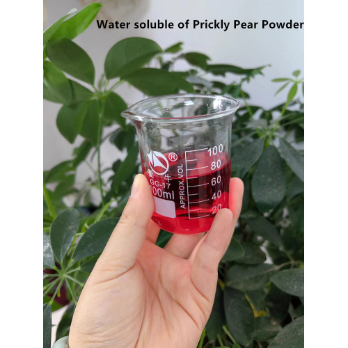 Water Soluble Fresh Cactus Fruit Powder for Sale, Offer Water Soluble Fresh Cactus Fruit Powder