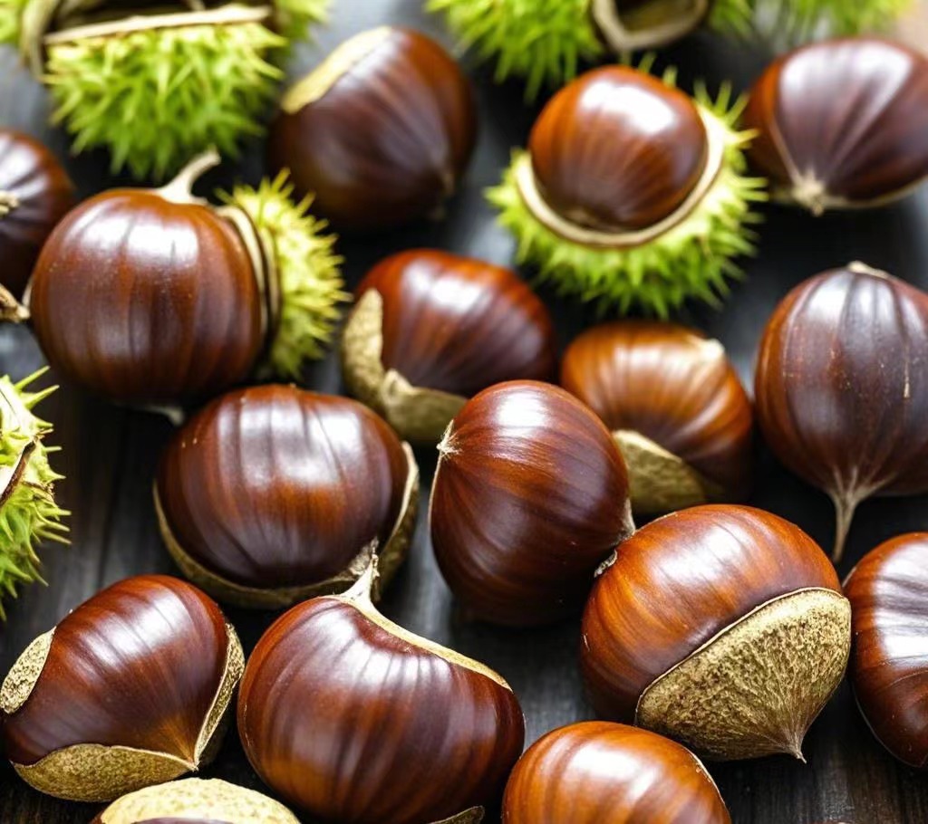Chestnut