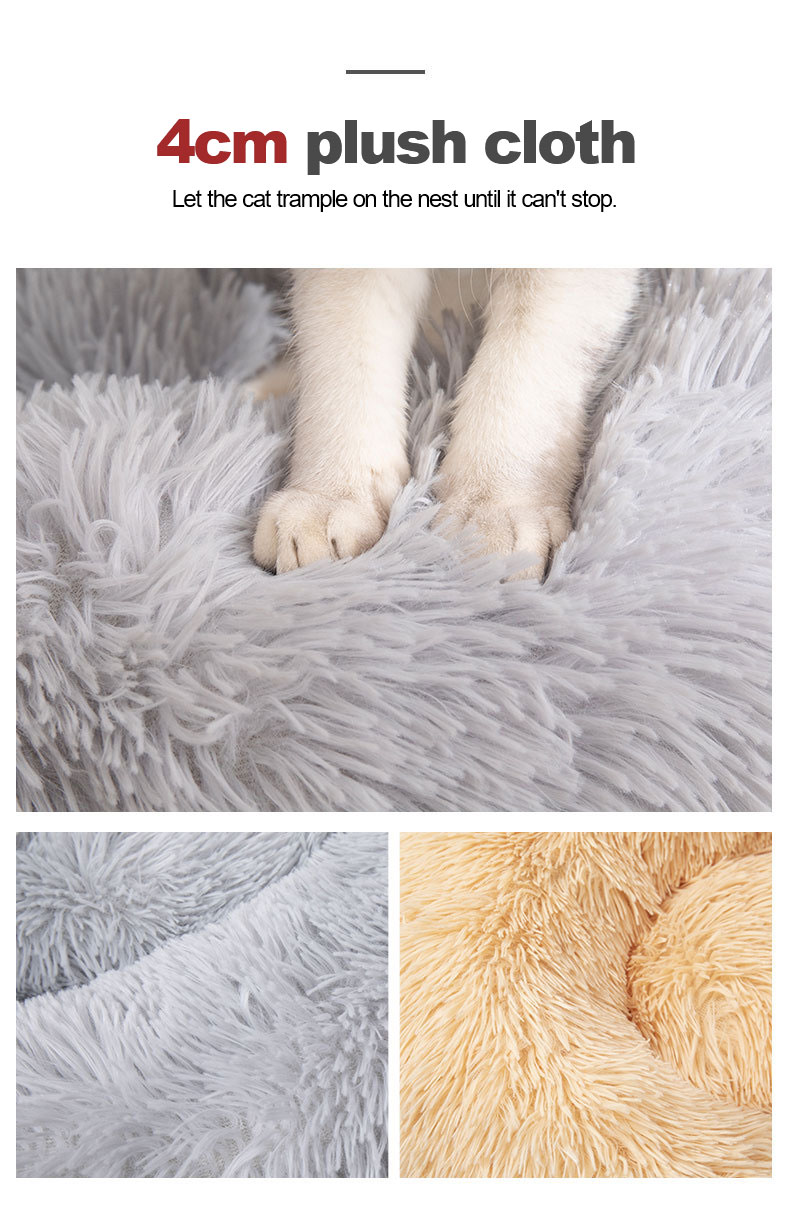 Soft Jpg