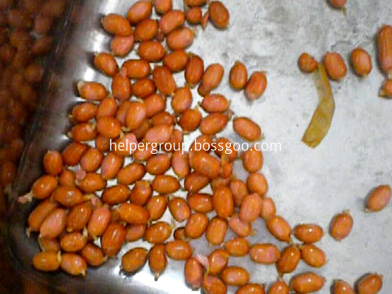 sausage cutter 3 new