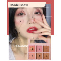 6 Colors Face-lift Concealer Matte Eyeshadow Palette Girl Makeup Cosmetics Glitter Nude Blush Eye Shadows Highlighter Set TSLM4