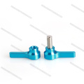 https://www.bossgoo.com/product-detail/t-shape-thumb-screw-for-machinery-57515289.html