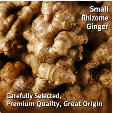 Vacuum Packed Asia Fresh Peeled Ginger