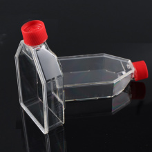 Cell culture flask, T-25, surface