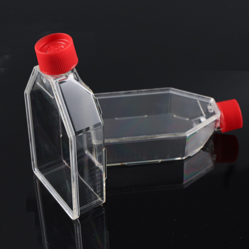 Best Cell culture flask, T-25, surface Manufacturer Cell culture flask, T-25, surface from China