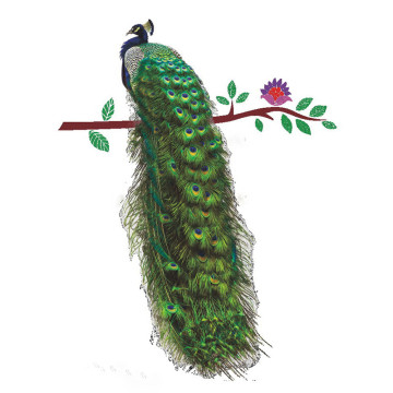 Animals Peacock On Branch Feathers Wall Stickers 3D Vivid Wall Decals Home Decor Art Decal Poster Animals Living Room Decoration