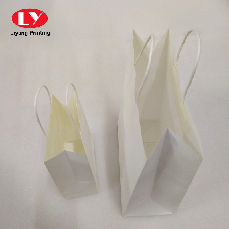 Shopping Bag Twisted Handle Jpg