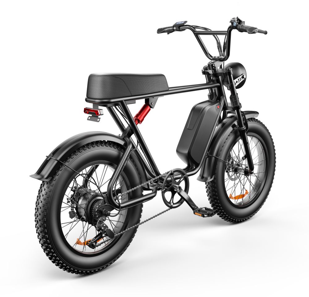 20 Inch Fat Tire Electric Bikes Motorcycle