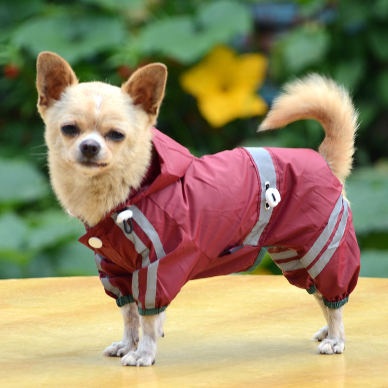 Puppy Pet Dog Cool Raincoat Glisten Bar Hoody Waterproof Rain Lovely Jackets Coat Apparel Clothes