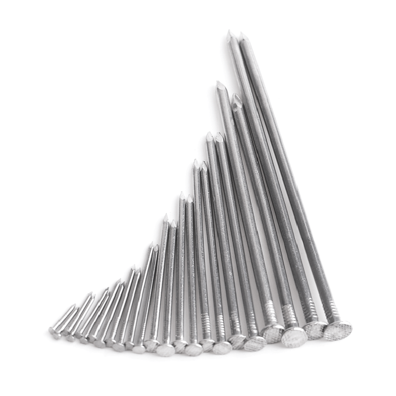 304 Stainless Steel Nail Steel Nail Carpenter Round Nail Cement Wall Nail Lengthened Small Nail 20Pcs