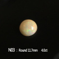 N03  Round 11.7mm
