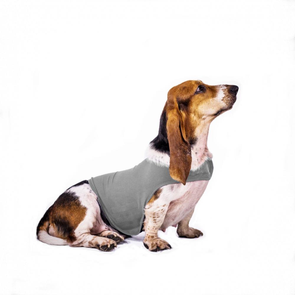 Xs Pet Clothing