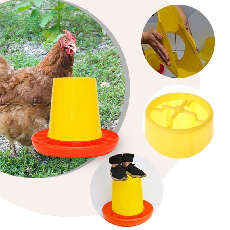 CChicken Poultry V-shaped Entrance Feed Bucket Outdoor Practical Bird Feeder Drinker Plastic Seed and Water Dispenser