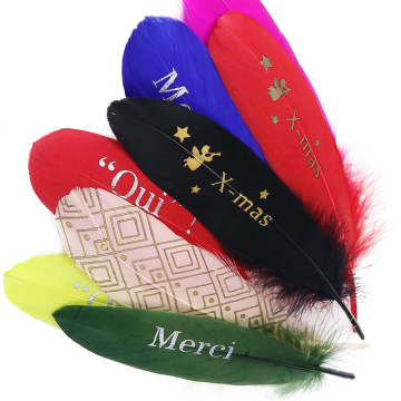 10pcs Color printing Goose Feather for crafts Goose Plumes DIY jewelry decorative accessories Decorative 15-20cm