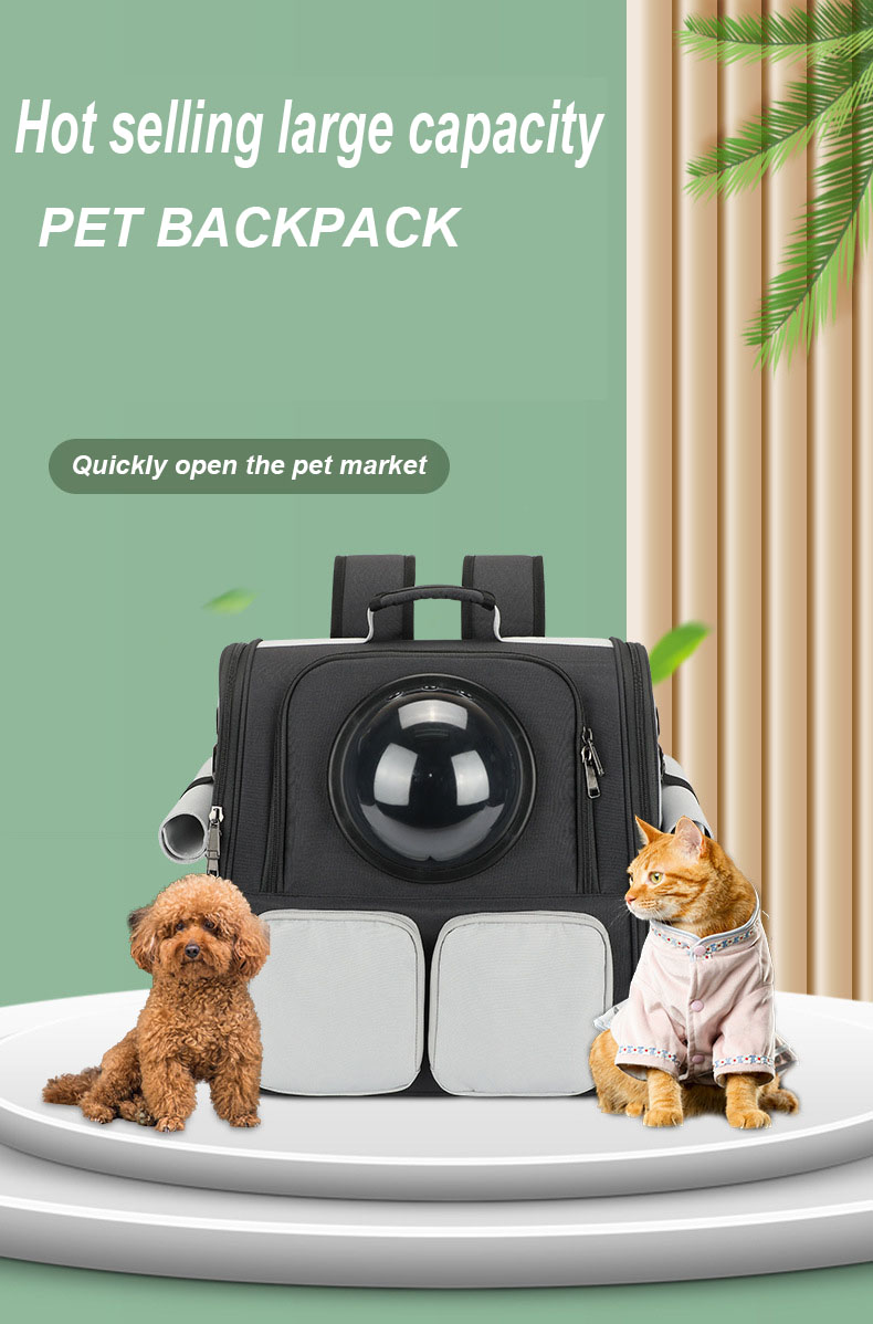 Portable Pet Carrier
