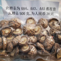 Dried Shiitake Mushrooms (AA4/AA3/AA5)