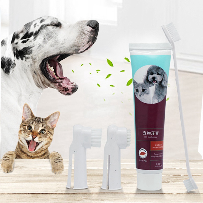 Pet Tooth Cleaning Kits Toothbrushes And Toothpastes For Cats And Dogs Pet Teeth Care Supplies