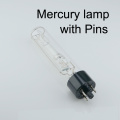 Mercury lamp pins