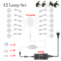 12 lamp Set-Dimming
