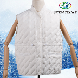 One-Piece Molding Down Jacket Shell Fabric