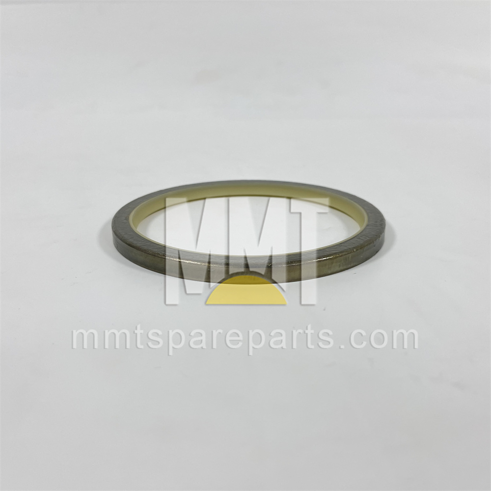 Steel Faced Rubber Dust Lip Type Sea 9x-4598