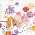 nail art dried flower decoration set natural nail true dry flower daisy/babysbreath/five petal flower series nail accessories