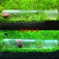 Aquarium Planarian Trap for Fish Tank Worm Trap Fish Tank Pest Catch Trap Leech Catcher For Planarian Flatwormnew