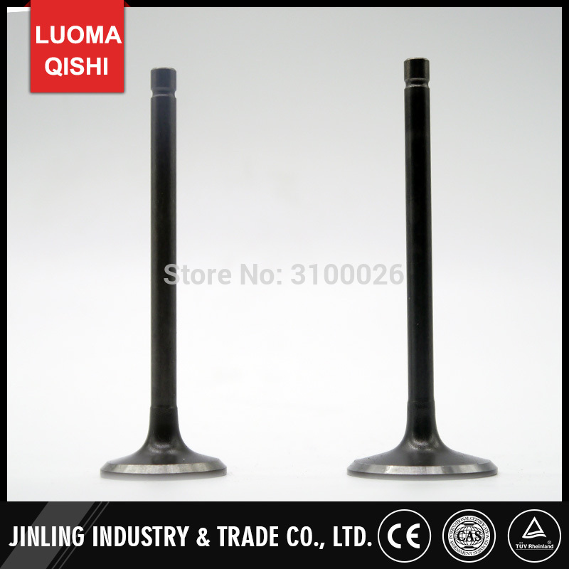 Intake Exhaust Valve Fit For ATV 300cc Engine Jinling JLA-925E JLA-931E Jinlang Buyang Feishen FA-D300 H STELS 300 Quad Parts