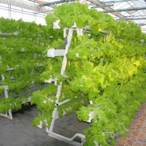 Large 3m Tunnel A-Frame Hydroponic system Manufacturers and Large 3m Tunnel A-Frame Hydroponic system Suppliers