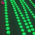 Building Decorative Digital RGB LED Point Light String