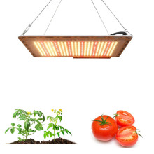 Cheap Indoor Grow Lights For Tomatoes Seedlings Growing