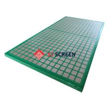 Scomi Prima 3G Shaker Screen