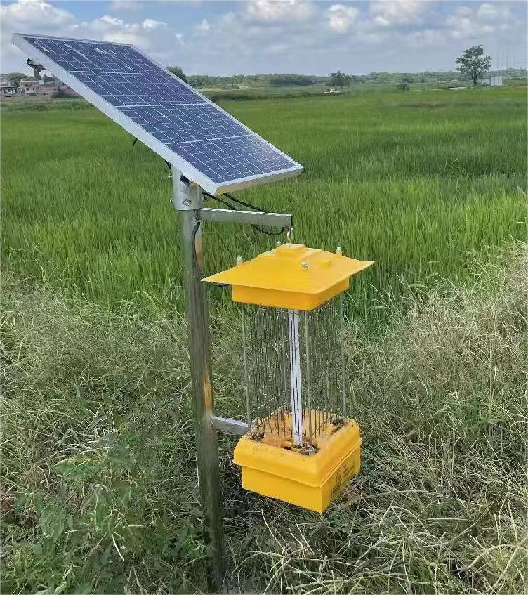 Solar Insect Kill Light
