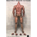 1:6 Soldier GANGHOOD Muscular And Strong Soldier Body Suitable For Villains Arnold And Other Dolls Model In Stock