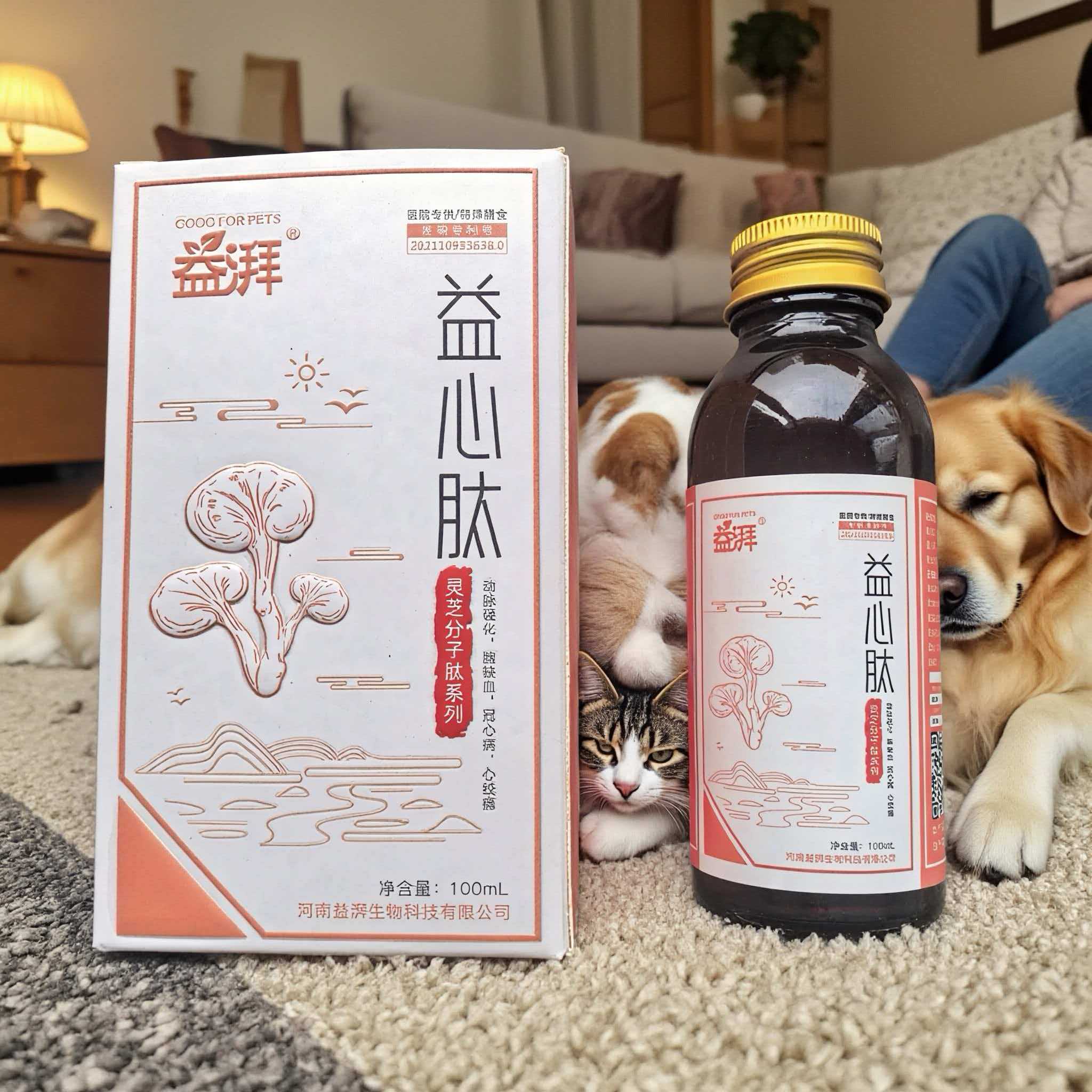 canine DCM nutritional support supplement