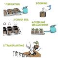 1/5/10pcs 30mm Jiffy Peat Pellets Seed Starting Plugs Seeds Starter Pallet Seedling Soil Block Seed Migration Tools