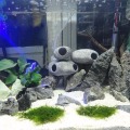Cichlid Stone Aquarium Fish Tank Pond Ornament Decoration Shrimp Breeding Rock Cave Ceramic Stones Akvaryum