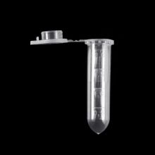 100 Pcs 2ml Clear Plastic Vials Container Snap Cap Centrifuge Tubes Vials Sample Lab Container