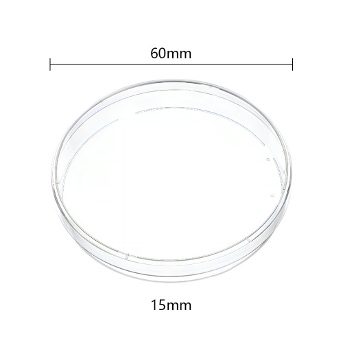 Best Plastic Petri Dish 60mm × 15mm Round Shape Manufacturer Plastic Petri Dish 60mm × 15mm Round Shape from China