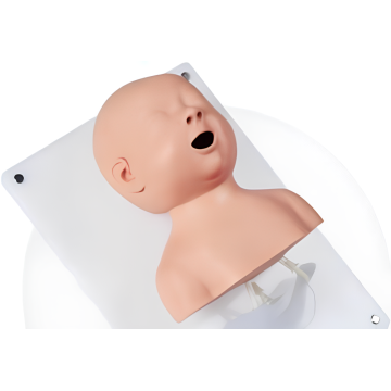 Infant Endotracheal Intubation Model