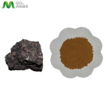 Shilajit Extract Powder Health Care Raw Materials